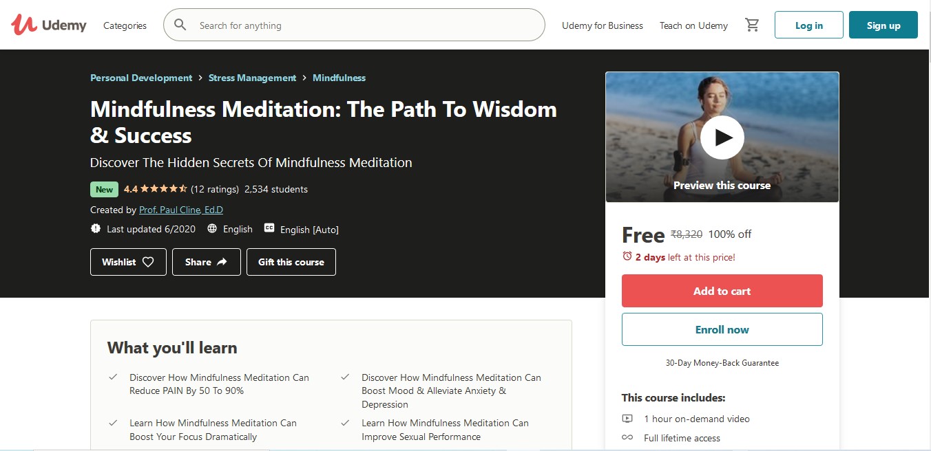 Mindfulness Meditation The Path To Wisdom & Success – Enroll Now